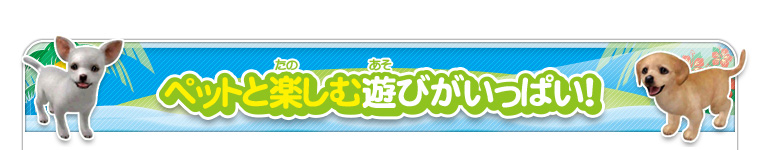 ペットと楽しむ遊びがいっぱい！