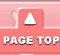 PAGE TOP