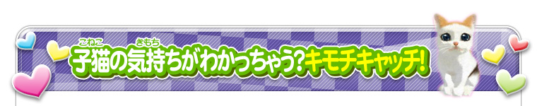 子猫の気持ちがわかっちゃう？キモチキャッチ！