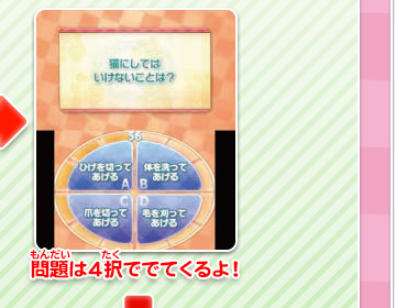 問題は4択ででてくるよ！