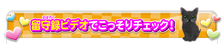 留守録ビデオでｋぉっそりチェック！