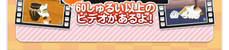 ぜんぶで60しゅるい以上のビデオがあるよ！