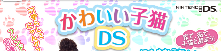 �j���e���h�[DS��p�\�t�g�@���킢���q�LDS