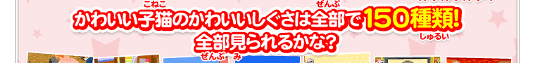 かわいい子猫のかわいいしぐさは全部で１５０種類!全部見られるかな？
