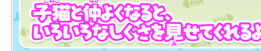 子猫と仲よくなると、いろいろなしぐさを見せてくれるよ!