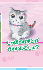 アクセサリー しっぽのリボンがかわいいでしょ？