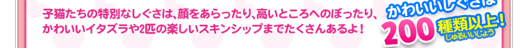 子猫たちの特別なしぐさは、顔をあらったり、高いところへのぼったり、かわいいイタズラや２匹の楽しいスキンシップまでたくさんあるよ！　かわいいしぐさは200種類以上！