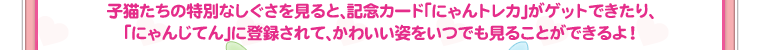 子猫たちの特別なしぐさを見ると、記念カード「にゃんトレカ」がゲットできたり、「にゃんじてん」に登録されて、かわいい姿をいつでも見ることができるよ！