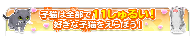 子猫は全部で11しゅるい！好きな子猫をえらぼう！