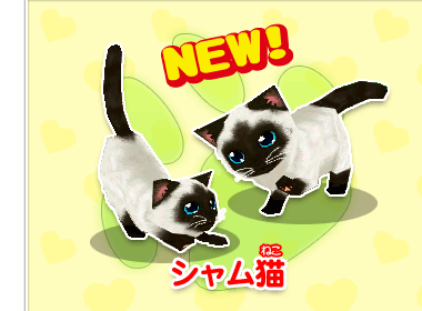 かわいい子猫ds3 公式ページ