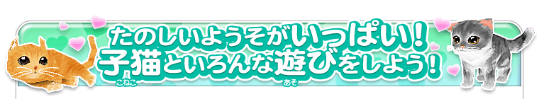 たのしいようそがいっぱい！子猫といろんな遊びをしよう！