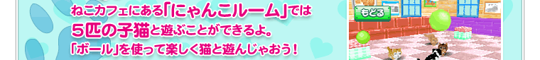 ねこカフェにある「にゃんこルーム」では５匹の子猫と遊ぶことができるよ。「ボール」を使って楽しく猫と遊んじゃおう！