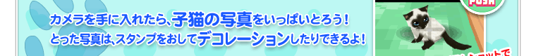 カメラを手に入れたら、子猫の写真をいっぱいとろう！とった写真は、スタンプをおしてデコレーションしたりできるよ！