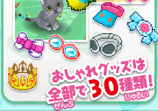 おしゃれグッズは全部で30種類！