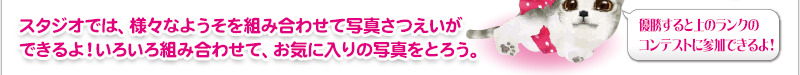 スタジオでは、様々なようそを組み合わせて写真さつえいができるよ！いろいろ組み合わせて、お気に入りの写真をとろう。