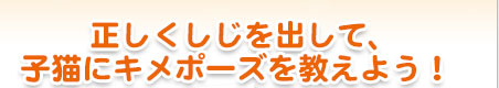 正しくしじを出して、子猫にキメポーズを教えよう！