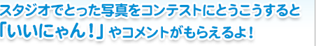 スタジオでとった写真をコンテストにとうこうすると「いいにゃん！」やコメントがもらえるよ！