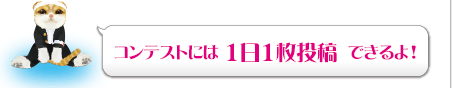 コンテストには 1日1枚投稿 できるよ！