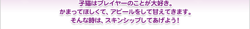 子猫はプレイヤーのことが大好き。かまってほしくて、アピールをして甘えてきます。そんな時は、スキンシップしてあげよう！