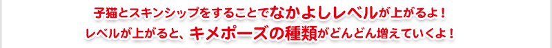 子猫とスキンシップをすることでなかよしレベルが上がるよ！レベルが上がると、キメポーズの種類がどんどん増えていくよ！