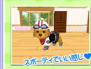 セット紹介：ライダーガールセット