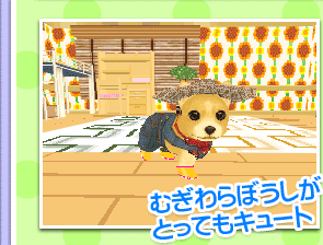セット紹介：ファーマーセット