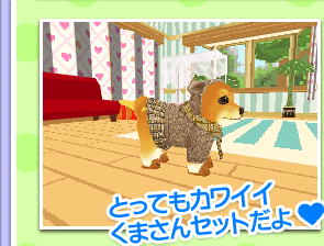 セット紹介：くまさんセット