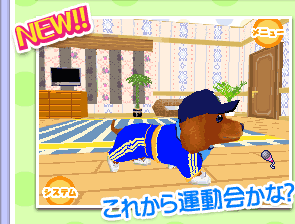 セット紹介：たいいくセット