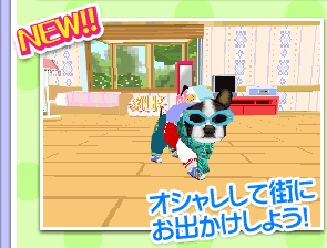 セット紹介：カジュアルセット