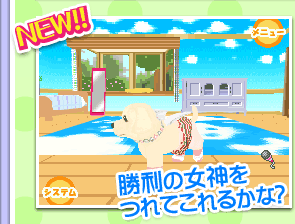 セット紹介：てんしセット