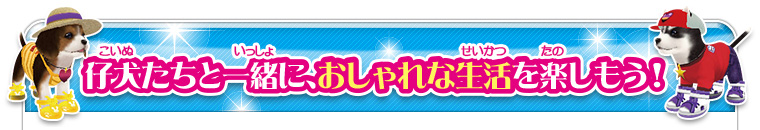 仔犬だちと一緒に、おしゃれな生活を楽しもう！