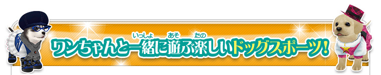 ワンちゃんと一緒に遊ぶ楽しいドッグスポーツ！